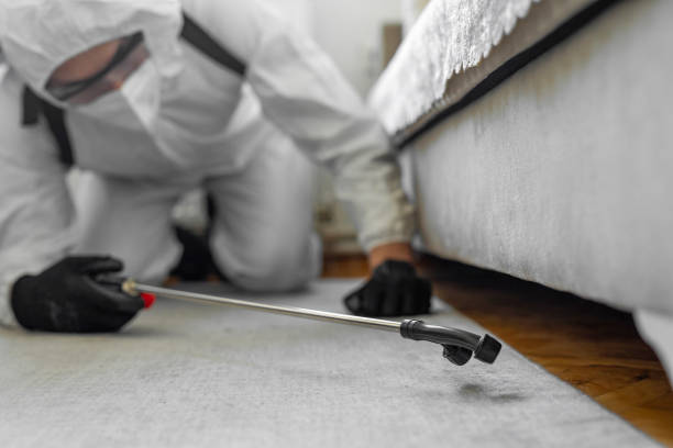 Professional Pest Control technician working in Randolph County County, NC